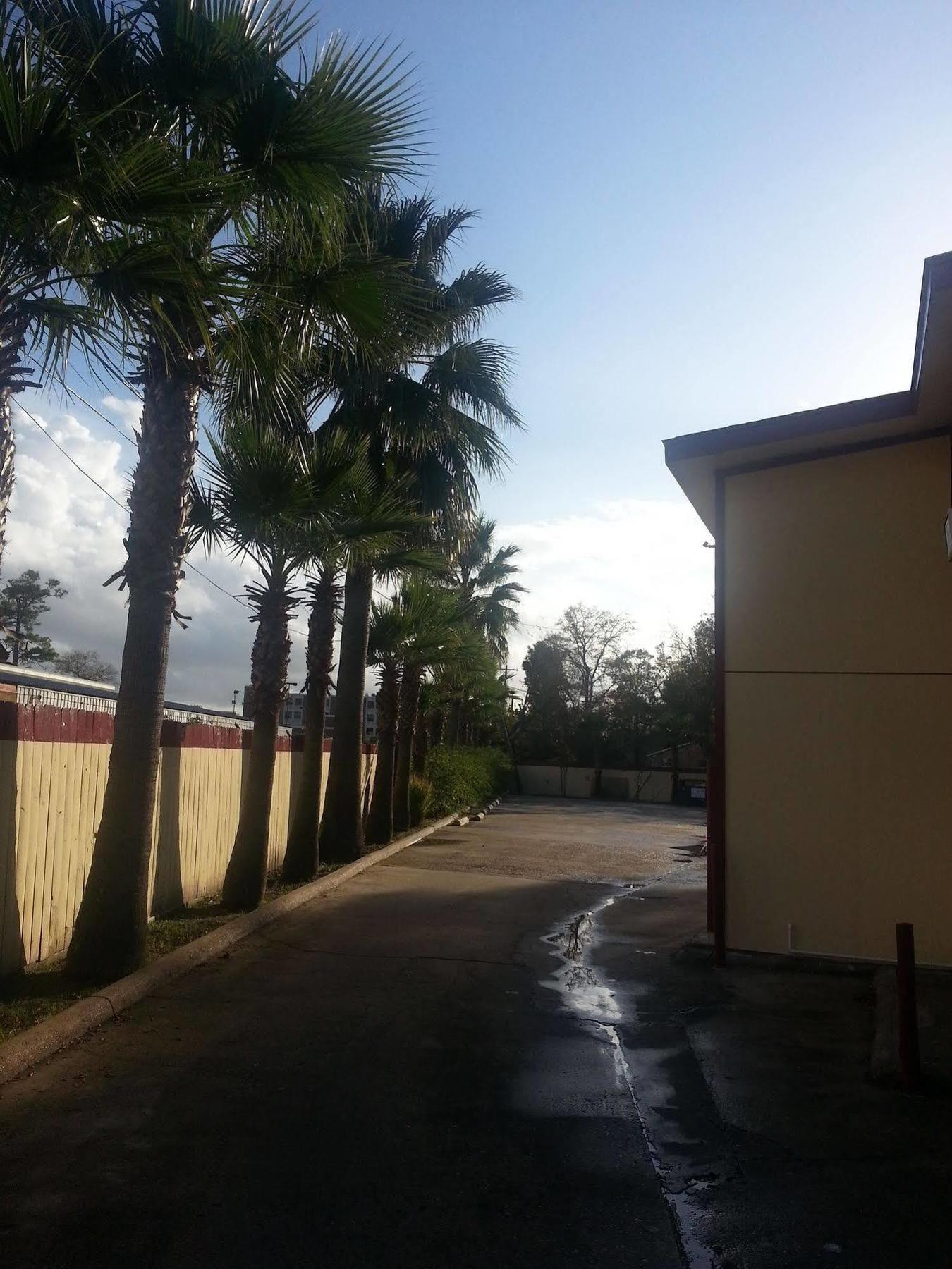 Southmore Motel Houston Bagian luar foto